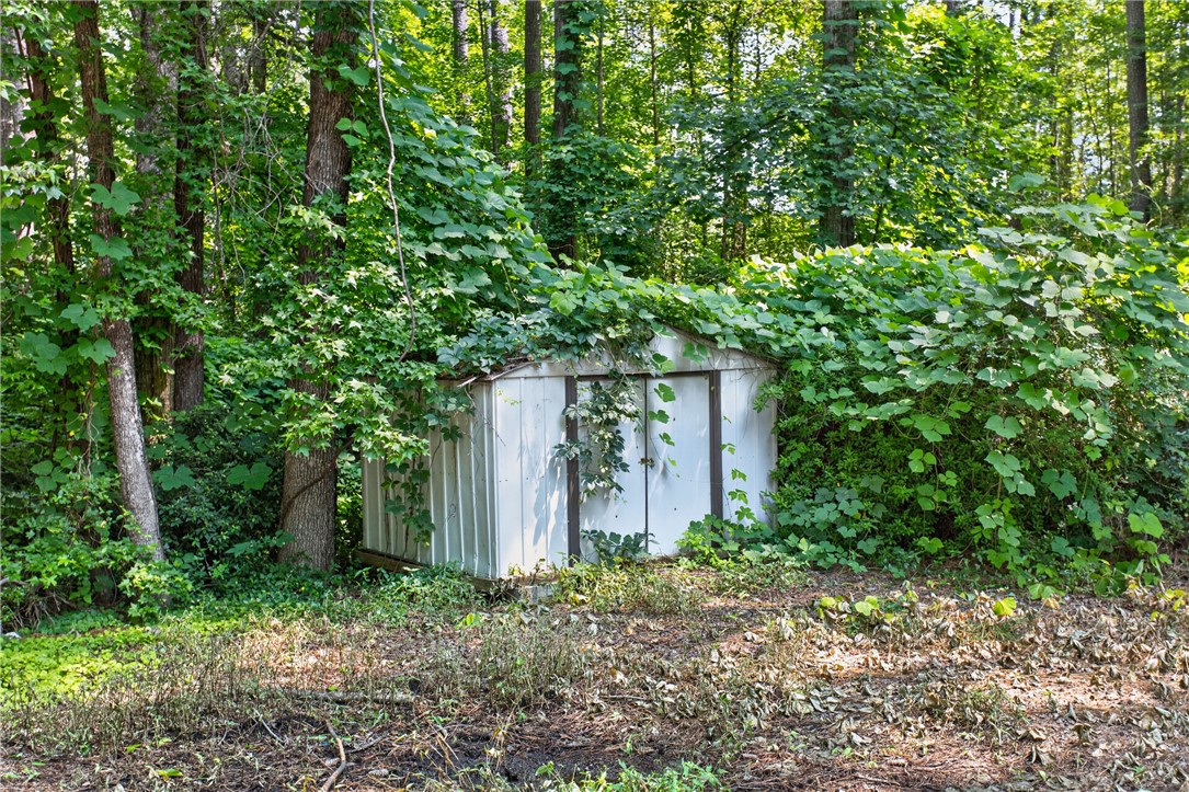 123 Robin Road Westminster, SC 29693 - Photo 44 of 50 A quaint storage shed nestled amidst lush green foliage, offering practical utility and a touch of rustic charm.