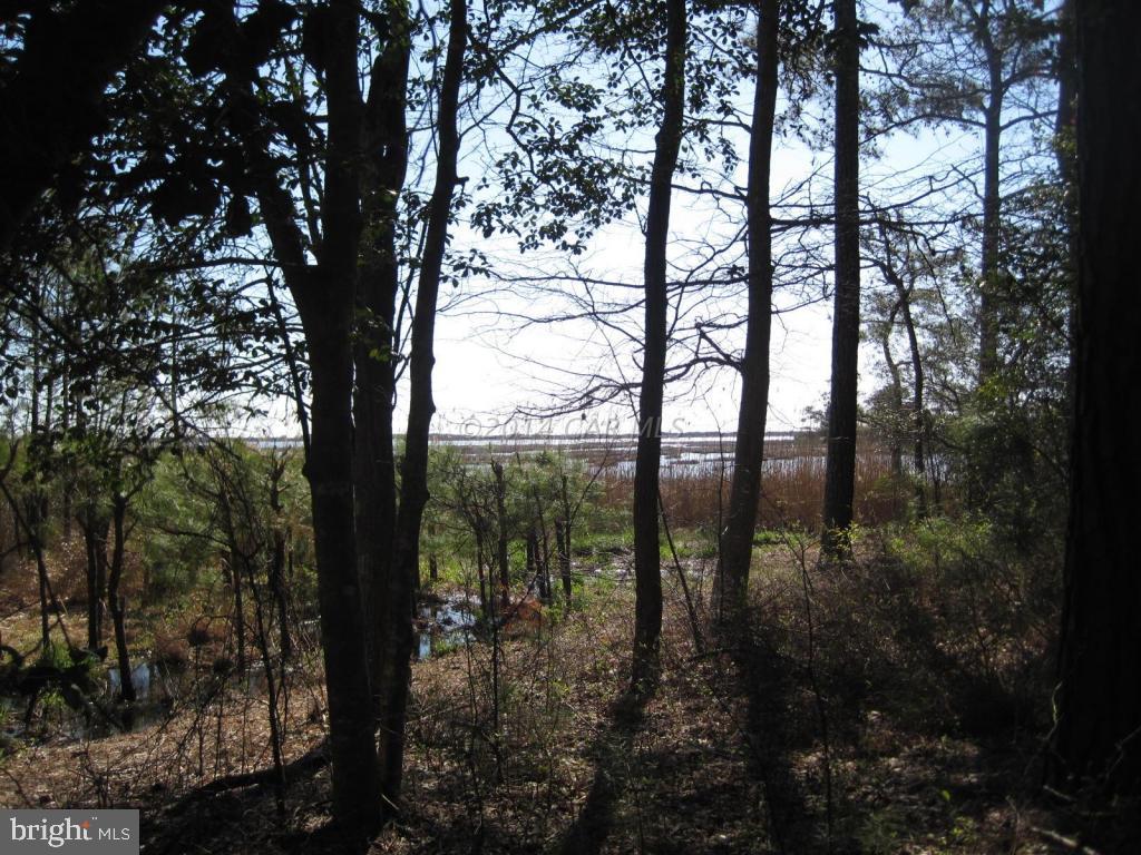 9515 Harbor Road Ocean City, MD 21842 - Photo 1 of 9 Gallery Image 1