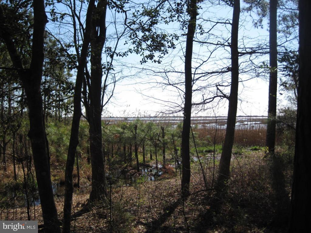 9515 Harbor Road Ocean City, MD 21842 - Photo 8 of 9 Gallery Image 8