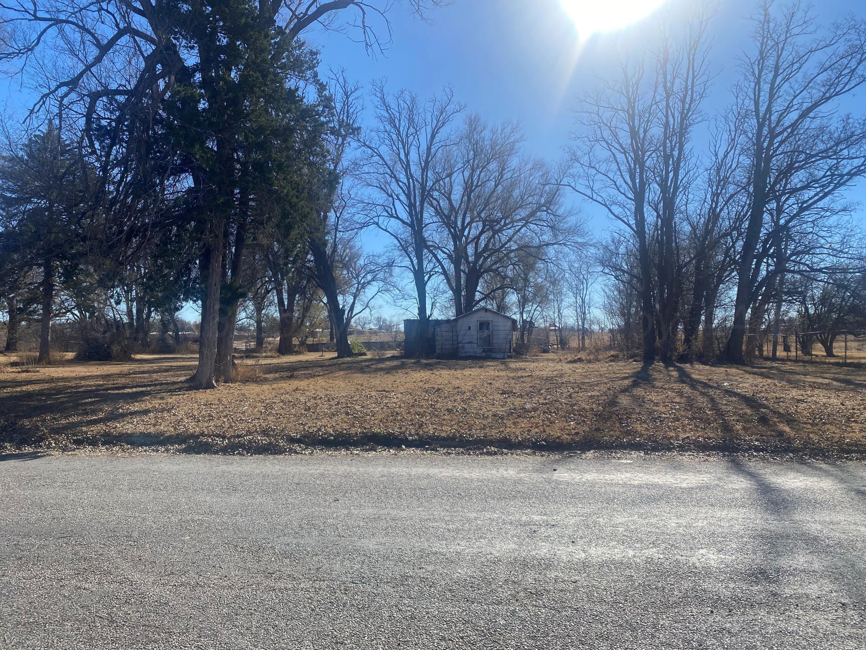 409 West 7th Street Wheeler, TX 79096 - Photo 4 of 4 a view of outdoor space with trees