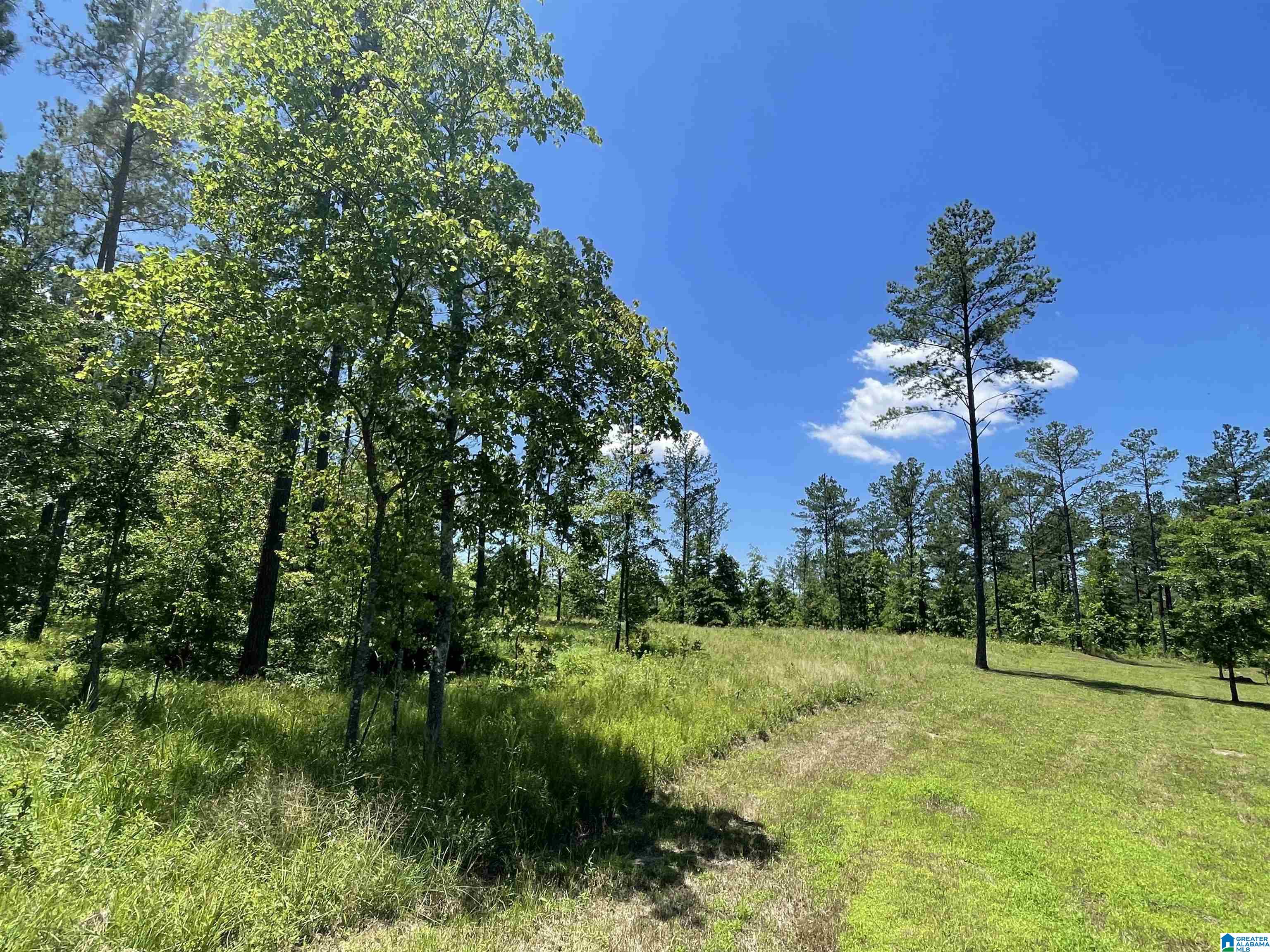 0 Chelsea Farms Road, Unit 24 Chelsea, AL 35043 - Photo 22 of 37