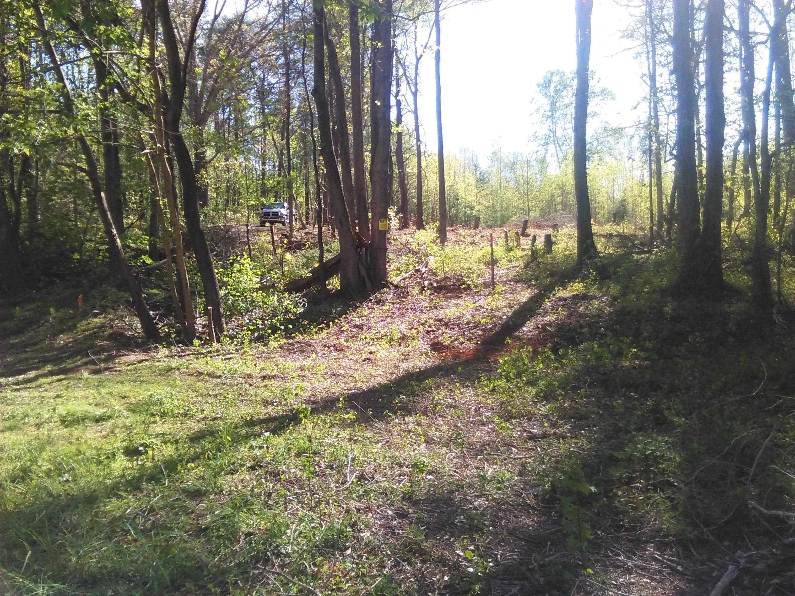 91 Settle Street Campobello, SC 29322 - Photo 5 of 8
