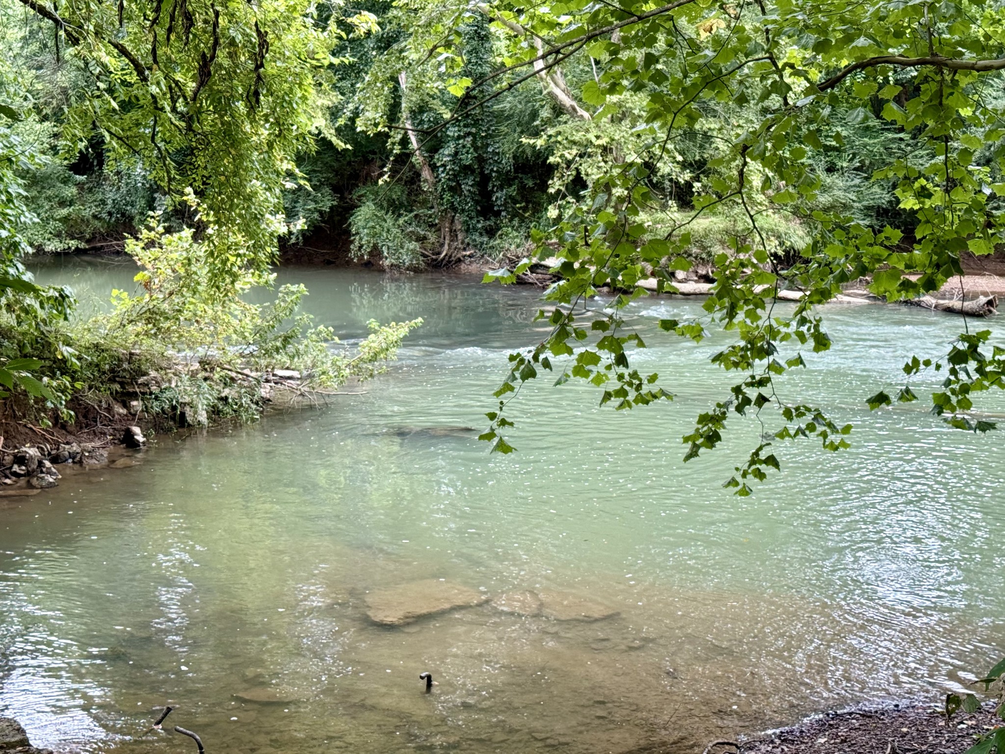 1932 Vales Mill Road Pulaski, TN 38478 - Photo 24 of 24 Gallery Image 24