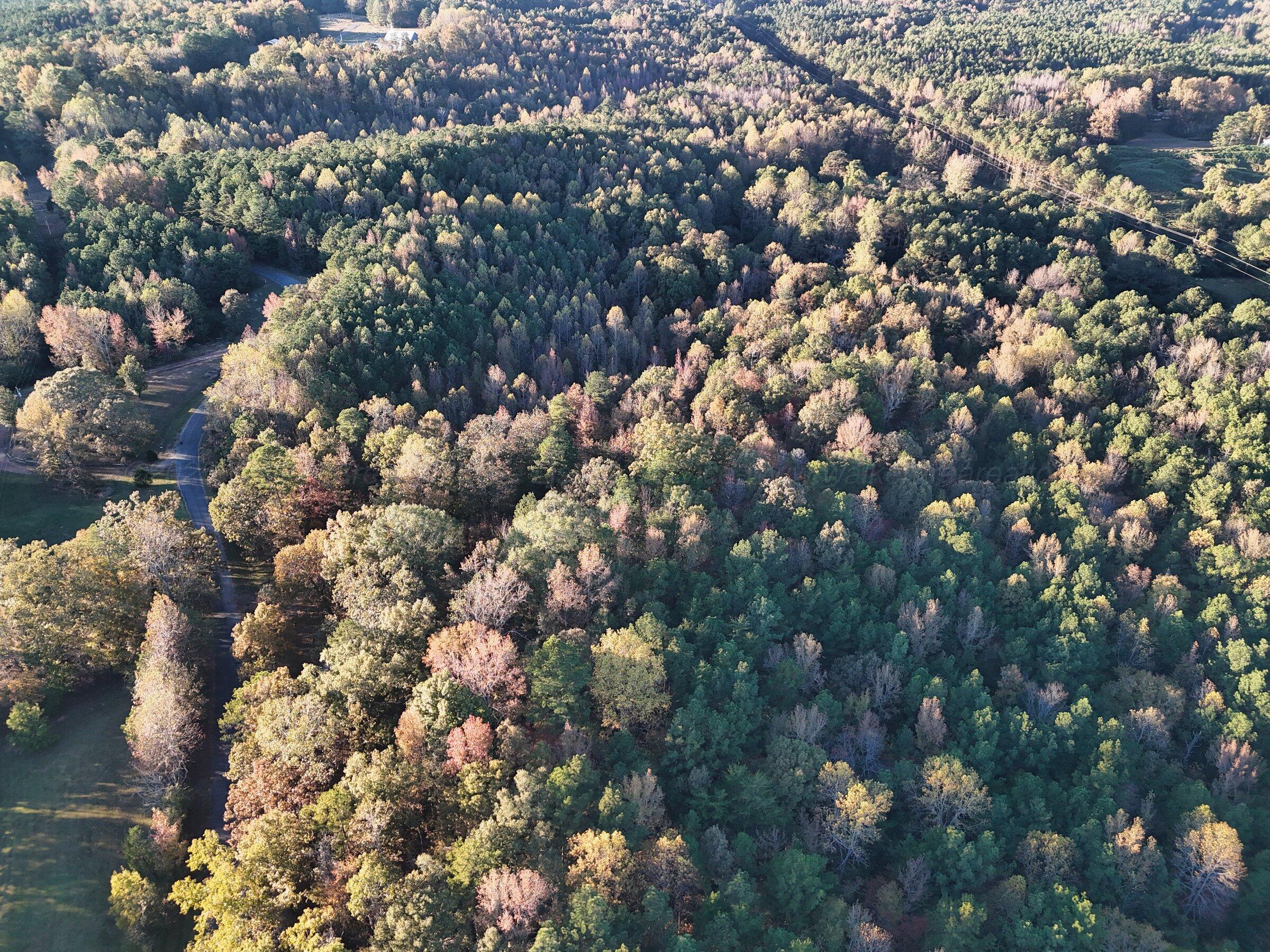 0 Busby Church Road Nauvoo, AL 35578 - Photo 5 of 14 dji_fly_20251104_160244_0166_17622941377