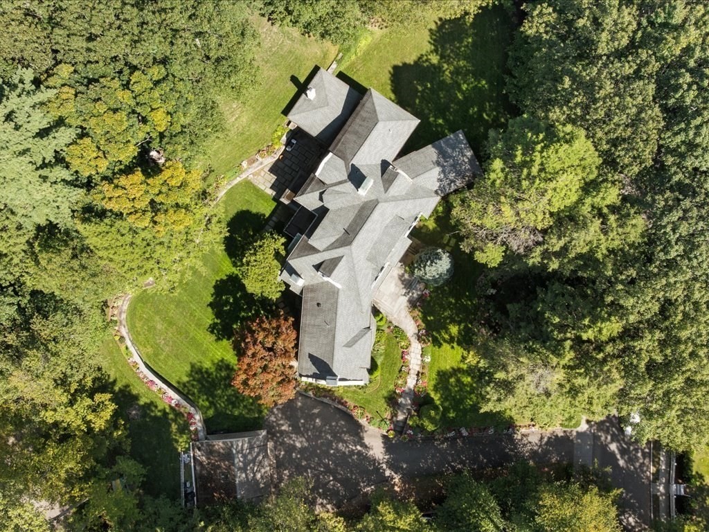 142 Crafts Road Brookline, MA 02467 - Photo 36 of 42 a view of a garden with plants