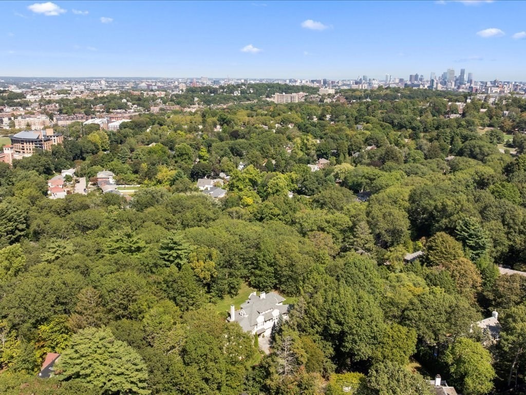 142 Crafts Road Brookline, MA 02467 - Photo 37 of 42 a view of a city
