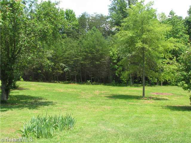 2163 Gideon Grove Road Stokesdale, NC 27357 - Photo 6 of 15 Yard/Garden.