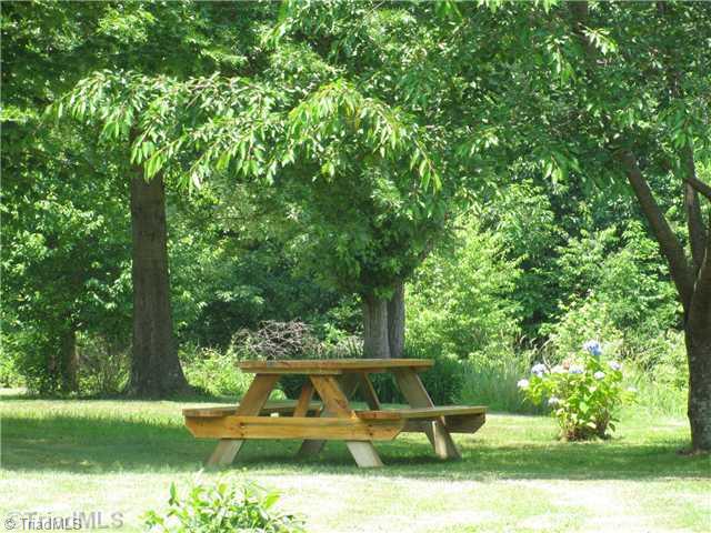2163 Gideon Grove Road Stokesdale, NC 27357 - Photo 7 of 15 Yard/Garden.