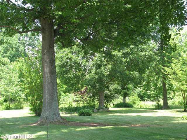 2163 Gideon Grove Road Stokesdale, NC 27357 - Photo 10 of 15 Yard/Garden.