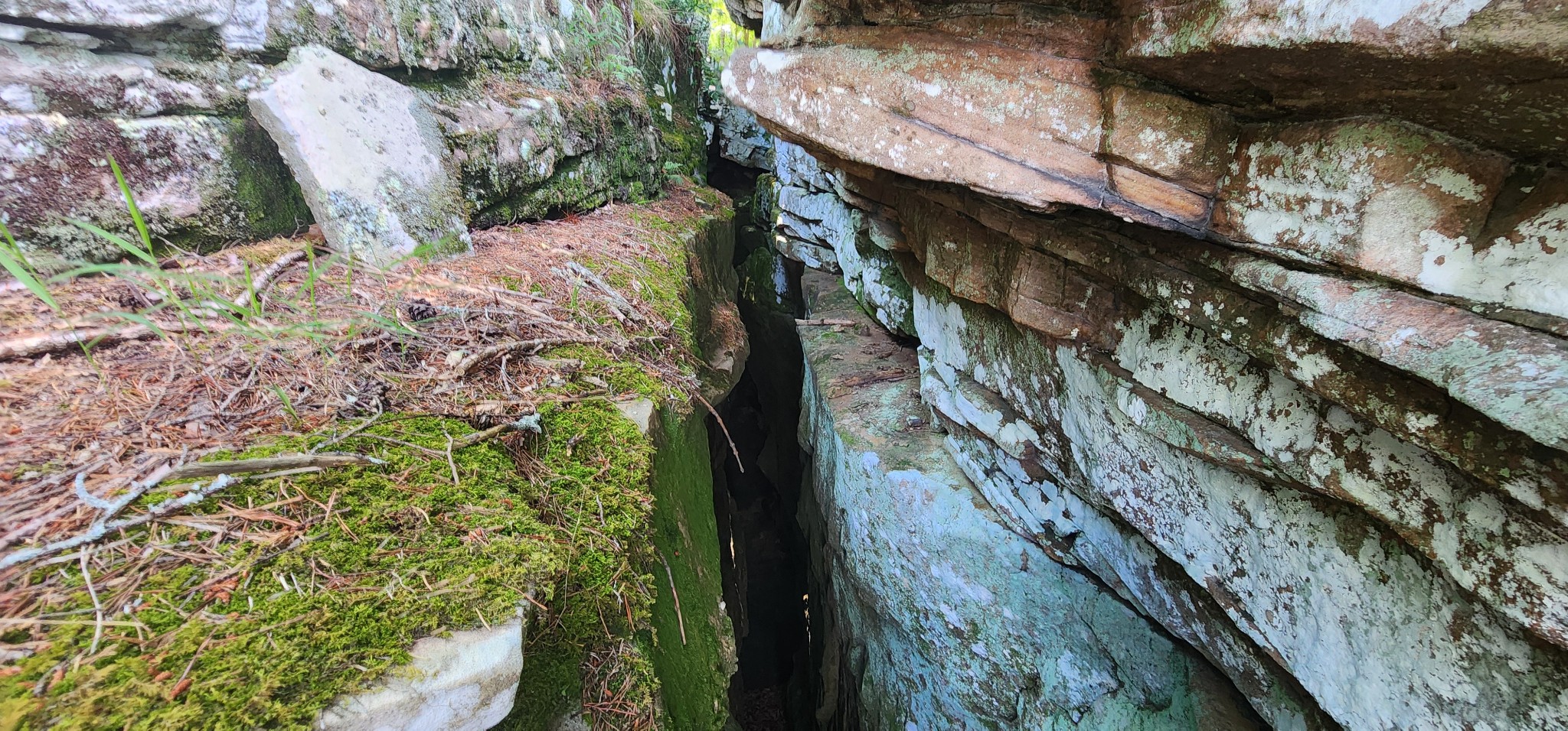 0 Roth Point Road Altamont, TN 37301 - Photo 20 of 49 a view of a backyard