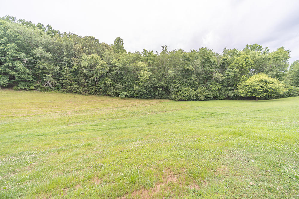 220 Pattie Gap Road Philadelphia, TN 37846 - Photo 16 of 19 photo-12