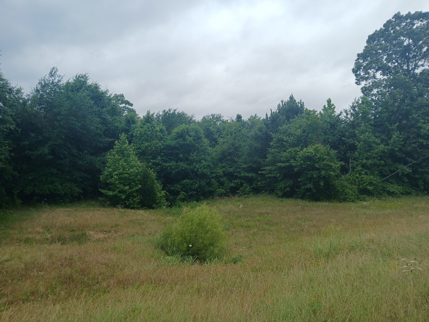 1640 County Road 1640 Jefferson, TX 75657 - Photo 10 of 10