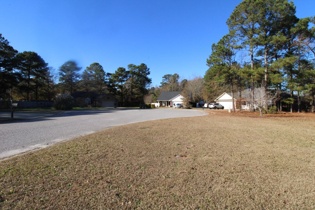 305 Trillium Lane Sumter, SC 29154 - Photo 35 of 36 Photo 35