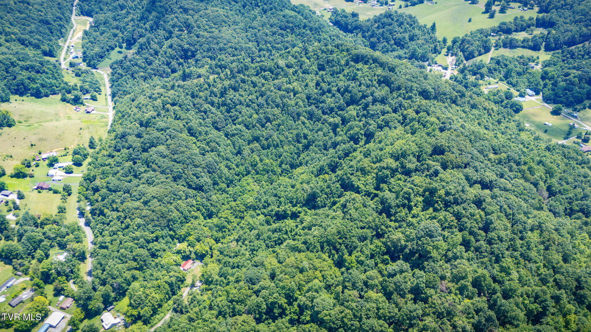 Tbd Icy Lane Elizabethton, TN 37643 - Photo 5 of 14 103