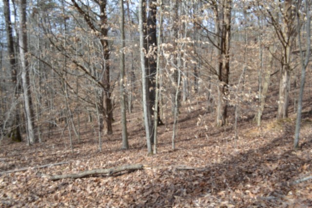 0 Boles Road Hilham, TN 38568 - Photo 11 of 48 a backyard of a house with lots of green space