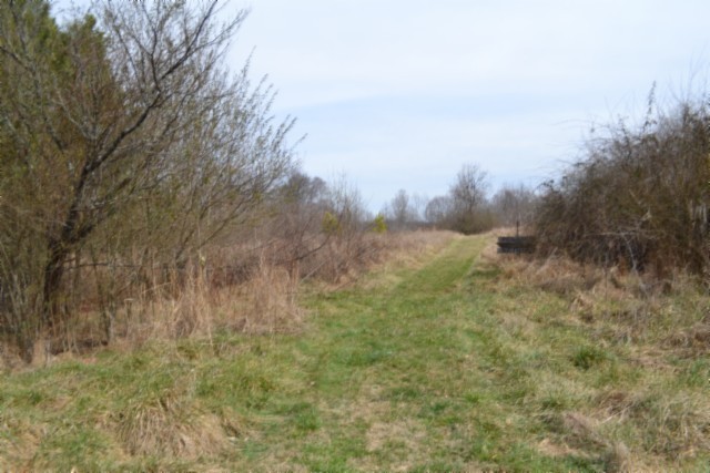 0 Boles Road Hilham, TN 38568 - Photo 11 of 69 a view of a field of grass and trees