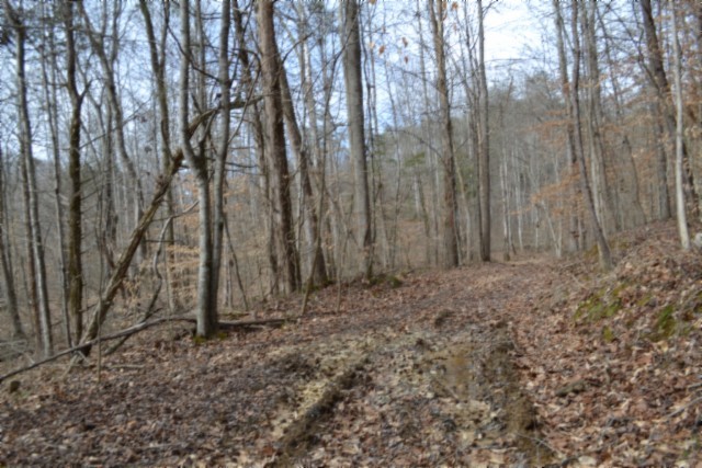 0 Boles Road Hilham, TN 38568 - Photo 13 of 48 a view of a backyard