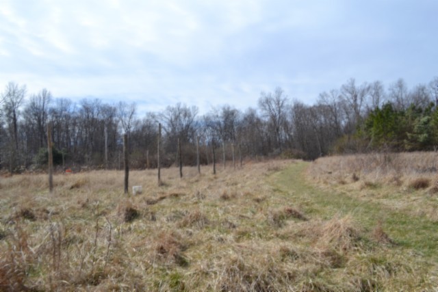 0 Boles Road Hilham, TN 38568 - Photo 16 of 48 a view of a dry yard with trees