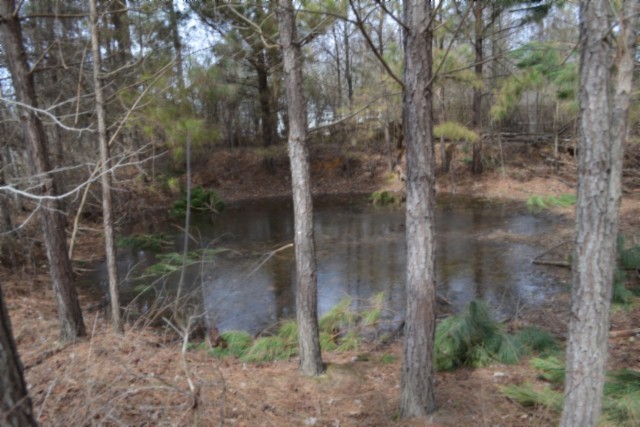 0 Boles Road Hilham, TN 38568 - Photo 17 of 69