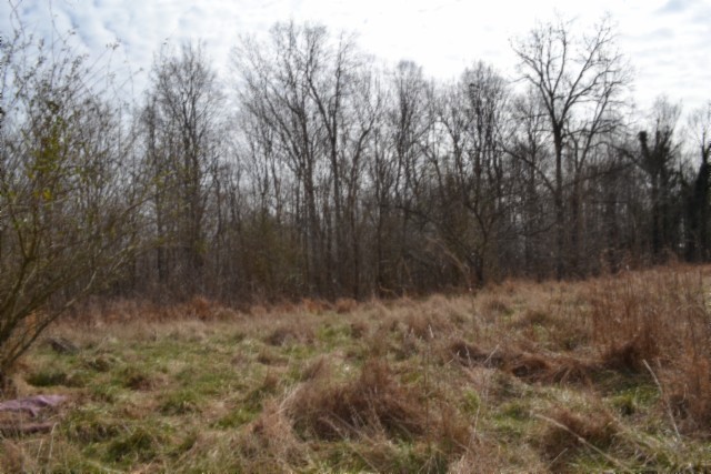 0 Boles Road Hilham, TN 38568 - Photo 17 of 48 a view of a yard