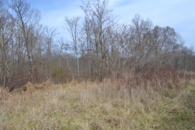 0 Boles Road Hilham, TN 38568 - Photo 19 of 48 a view of a dry yard