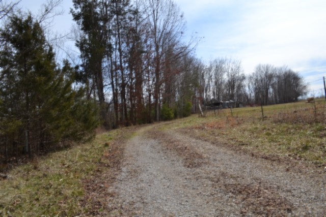 0 Boles Road Hilham, TN 38568 - Photo 20 of 69 a view of a yard with trees
