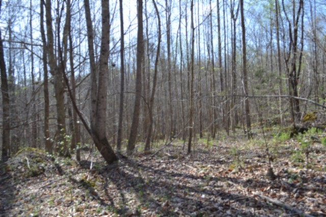 0 Boles Road Hilham, TN 38568 - Photo 24 of 69