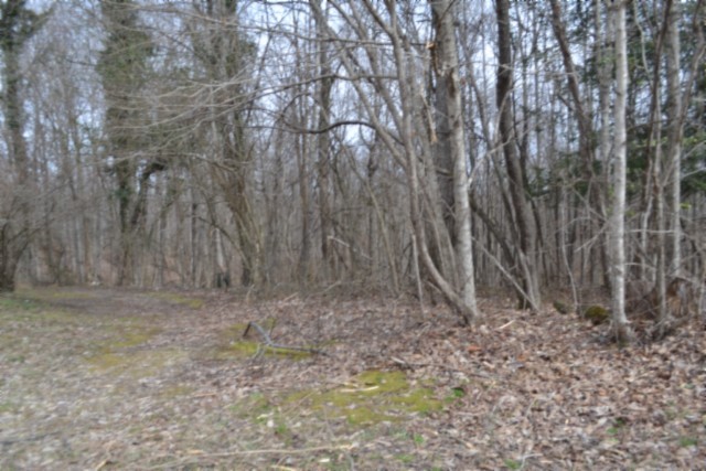0 Boles Road Hilham, TN 38568 - Photo 25 of 48 a view of backyard with green space