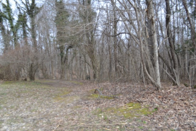 0 Boles Road Hilham, TN 38568 - Photo 26 of 48 a view of backyard with green space