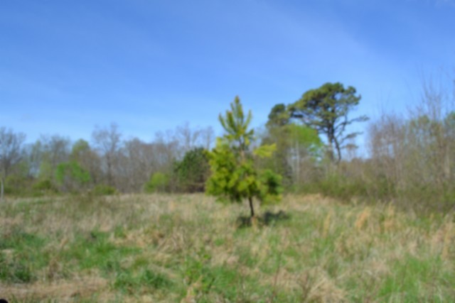 0 Boles Road Hilham, TN 38568 - Photo 26 of 69