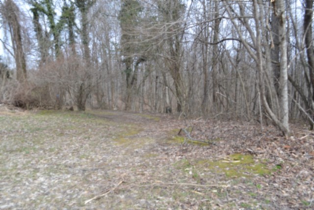 0 Boles Road Hilham, TN 38568 - Photo 27 of 48 a view of small space