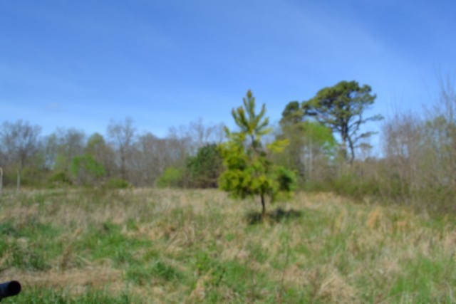 0 Boles Road Hilham, TN 38568 - Photo 28 of 69