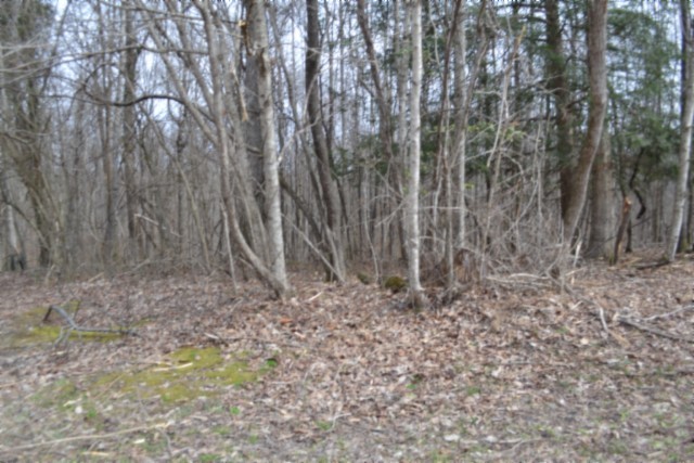 0 Boles Road Hilham, TN 38568 - Photo 28 of 48 a view of a yard with trees