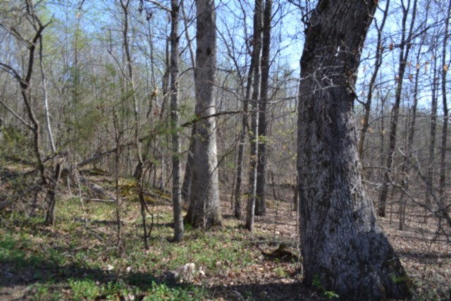 0 Boles Road Hilham, TN 38568 - Photo 33 of 69