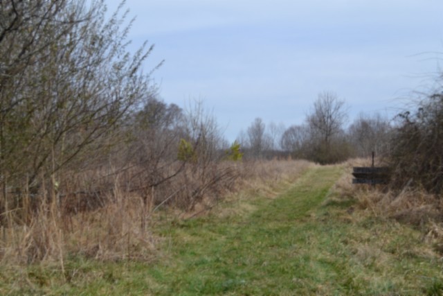 0 Boles Road Hilham, TN 38568 - Photo 34 of 48 a view of a dry yard with trees