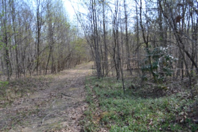 0 Boles Road Hilham, TN 38568 - Photo 35 of 69