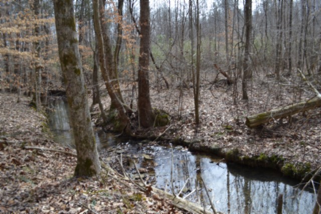 0 Boles Road Hilham, TN 38568 - Photo 36 of 48 a view of a forest with a bench and trees