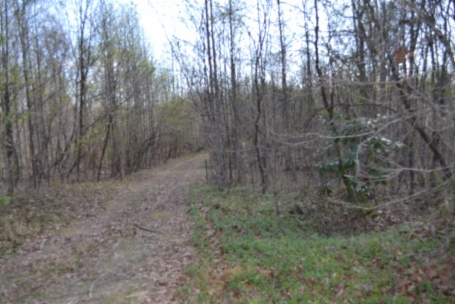 0 Boles Road Hilham, TN 38568 - Photo 36 of 69 a view of a dry yard with trees in the background