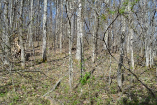 0 Boles Road Hilham, TN 38568 - Photo 39 of 69