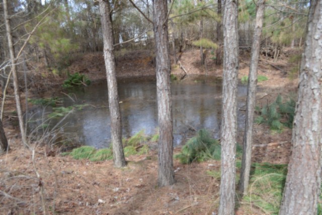 0 Boles Road Hilham, TN 38568 - Photo 40 of 48 a view of a backyard of the house