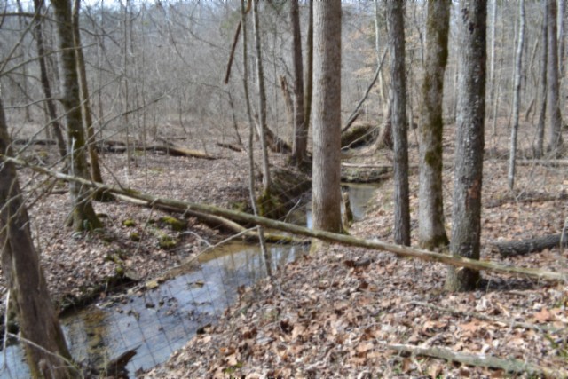 0 Boles Road Hilham, TN 38568 - Photo 4 of 48 a picture of a yard