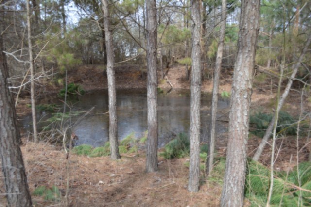 0 Boles Road Hilham, TN 38568 - Photo 41 of 48 a backyard of a house with lots of green space and glass windows