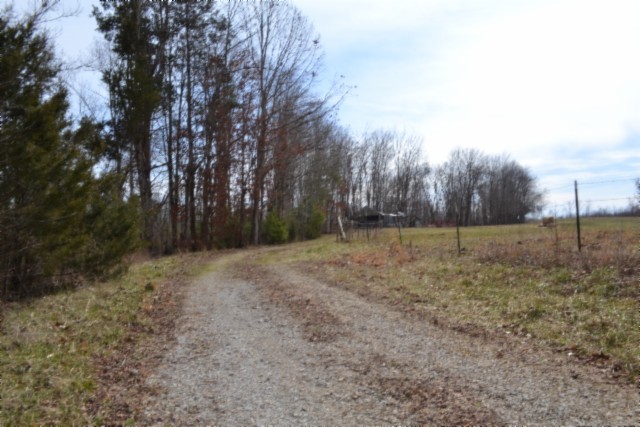 0 Boles Road Hilham, TN 38568 - Photo 43 of 48 a view of a backyard with trees