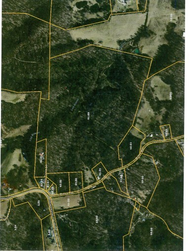 0 Boles Road Hilham, TN 38568 - Photo 45 of 48 a garden view