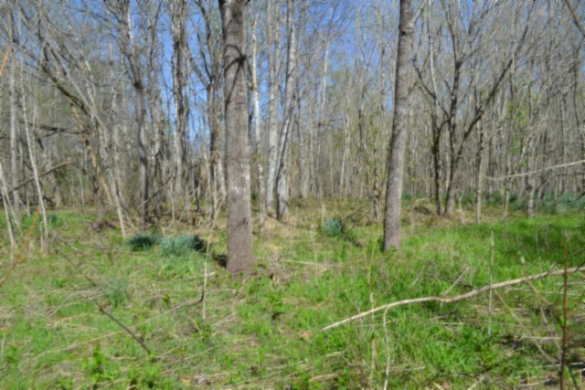0 Boles Road Hilham, TN 38568 - Photo 45 of 69