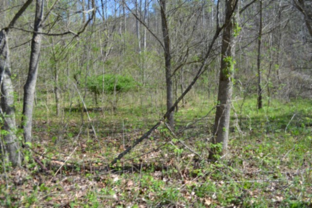 0 Boles Road Hilham, TN 38568 - Photo 47 of 69