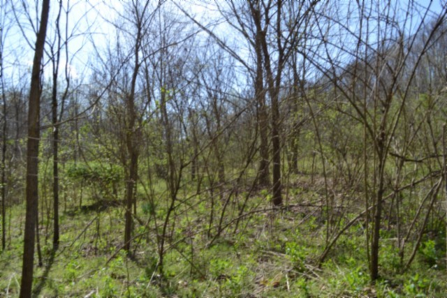 0 Boles Road Hilham, TN 38568 - Photo 48 of 69