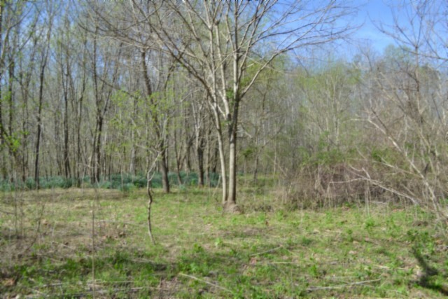 0 Boles Road Hilham, TN 38568 - Photo 49 of 69 a view of outdoor space with green field and trees