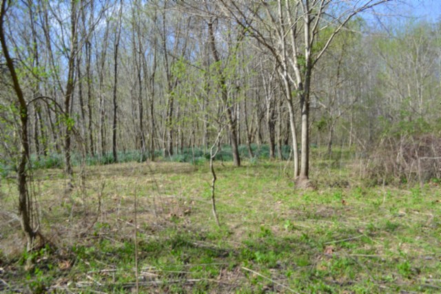 0 Boles Road Hilham, TN 38568 - Photo 50 of 69 a view of outdoor space and garden