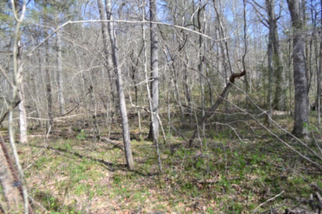 0 Boles Road Hilham, TN 38568 - Photo 52 of 69